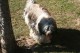 Thumbs/tn_Bild 059.jpg